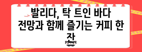 대부도 가족 여행지 | 뷰 맛집 카페 발리다 소개