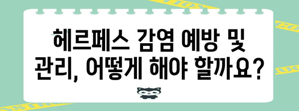 여성 헤르페스 1형과 2형 구별법 | 증상, 원인, 진단까지