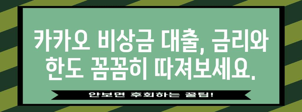 비상금 대출에서 주의 사항 | 카카오의 조건 이해하기