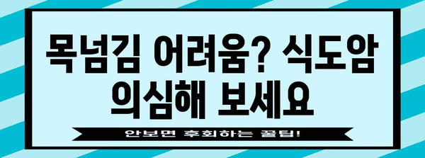 식도암 초기 증상 이해하기, 조기 발견 및 예방을 위한 지침