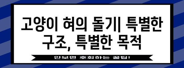 고양이 혀와 입 속의 비밀 | 특징과 기능 이해