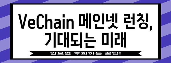 VeChain 메인넷 런칭 및 B3TR 에어드랍 안내