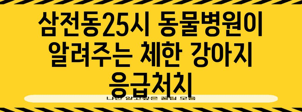 강아지 체한 뒤 | 삼전동25시 동물병원의 대처 노하우