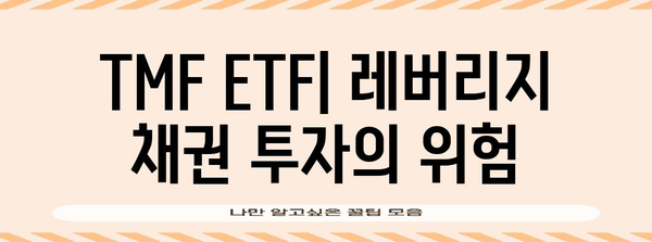 레버리지 채권 투자의 함정 | TMF ETF 분석