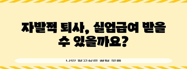 실업급여 신청 가이드 | 자발적 퇴사 후 지원 자격