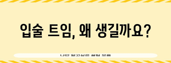 입술 트임 원인 탐구 | 건강한 입술 유지 방법