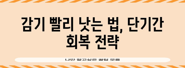 감기 퇴치 요령 | 효과적인 음식과 꿀팁
