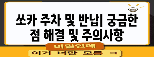 쏘카 초보자 가이드 | 요금제, 주요 기능, 완벽 탐구