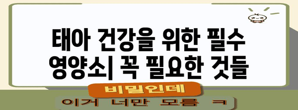 임산부 식단 가이드 | 건강한 선택과 피해야 할 음식