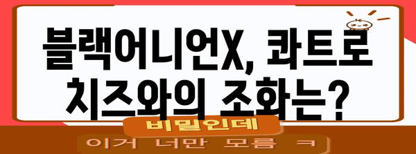 버거킹 블랙어니언X 리뷰 | 솔직 소감과 실제 맛