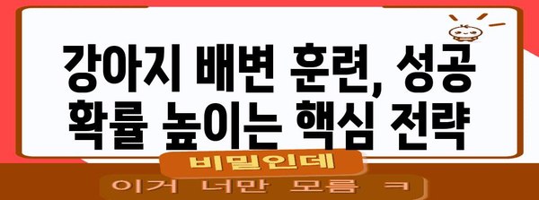강아지 배변 훈련 | 실수 완전히 극복하는 방법