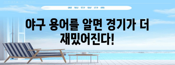 야구 용어 사전 | 경기 관람을 더 즐겁게