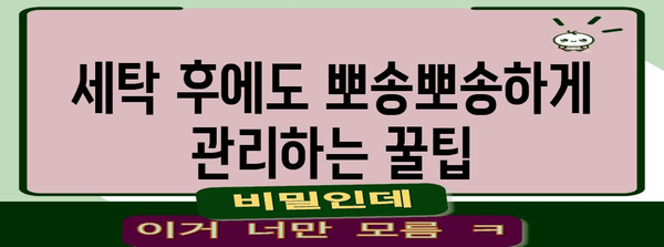 간편 홈 세탁 가이드 | 운동화를 집에서 직접 깨끗하게 세탁하기