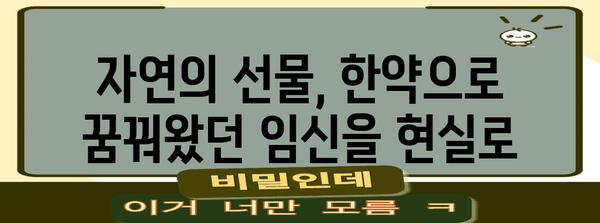 난임 예방을 위한 한약의 역할 | 전통적인 치료법의 놀라운 효과