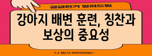 강아지 배변 훈련 | 실수 완전히 극복하는 방법