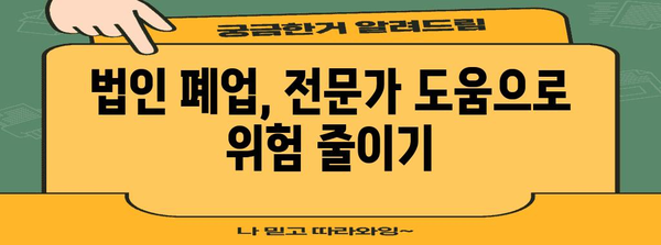 법인 폐업 | 법인격 부인 소송 피해 최소화