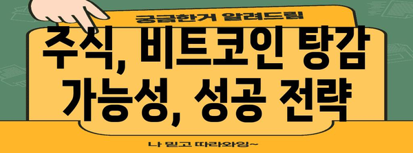 개인회생 vs 파산 | 주식과 비트코인 탕감 차이점 분석