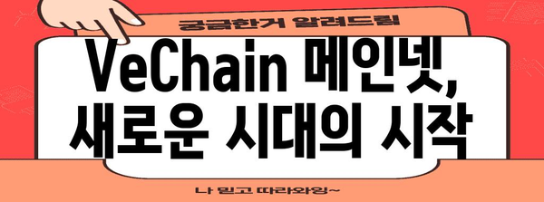 VeChain 메인넷 런칭 및 B3TR 에어드랍 안내