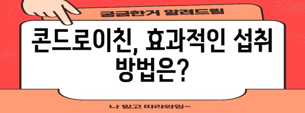 관절 건강 증진을 위한 콘드로이친 가이드 | 이점, 부작용, 권장 사항