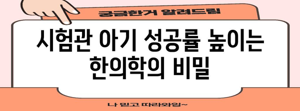 착상 확률 높이기 | 시험관 아기 준비와 한의학의 역할