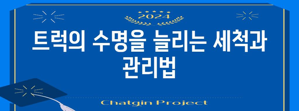 트럭 차체 관리 가이드 | 내구성과 외관 가치를 유지하는 팁