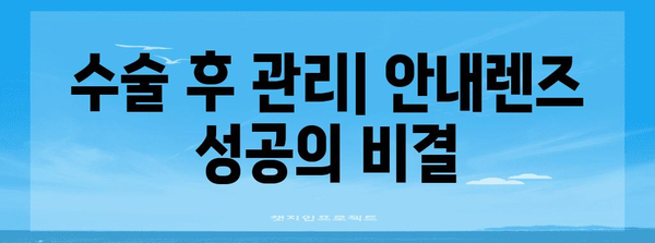 난시 라섹 수술 후 안내렌즈 안내 | 성공적인 시력 개선을 위한 필수 팁