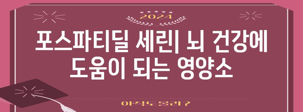 포스파티딜 세린 | 미세한 부작용과 최적 사용법 안내