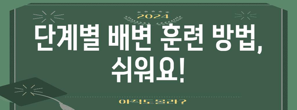 애견 배변 훈련 성공 비결 | 문제 해결과 훈련법