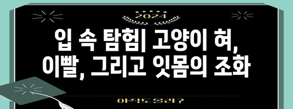 고양이 혀와 입 속의 비밀 | 특징과 기능 이해