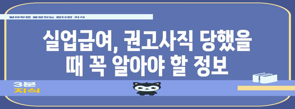 실업급여, 권고사직, 간이대지급금 완벽 가이드 | 지역별 지원
