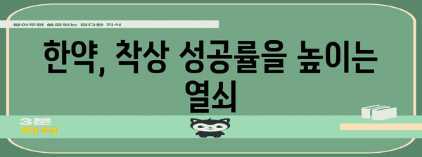 시험관 착상 실패 극복 | 한약으로 다시 도전하는 방법