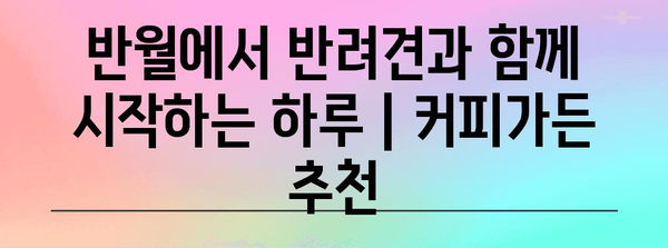 반월에서 반려견과 함께 시작하는 하루 | 커피가든 추천