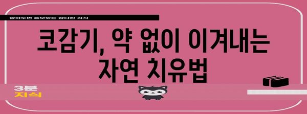 코감기 증상 완치하기 | 효과적인 팁과 가정 요법