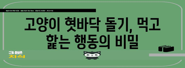 고양이 혓바닥 돌기의 숨겨진 의미