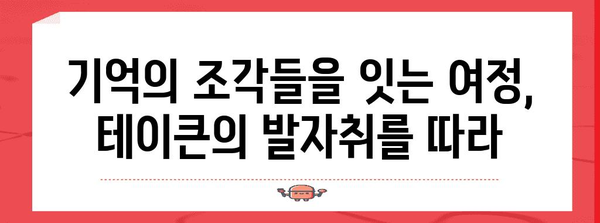 테이큰의 발자취를 따라가는 기억의 여정