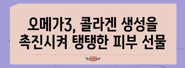피부 미용의 열쇠 | 오메가3의 영향 파헤치기