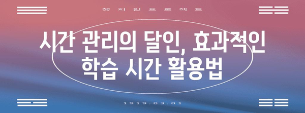 효율적인 세무사 자격증 학습 전략 가이드