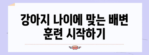 강아지 배변 훈련 성공 비결! 다정동물병원의 실전 가이드
