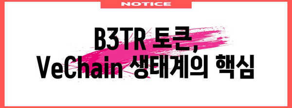 VeChain 메인넷 런칭 및 B3TR 에어드랍 안내
