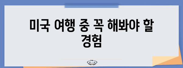 미국 여행 필수 가이드 | ESTA 신청부터 주의 사항