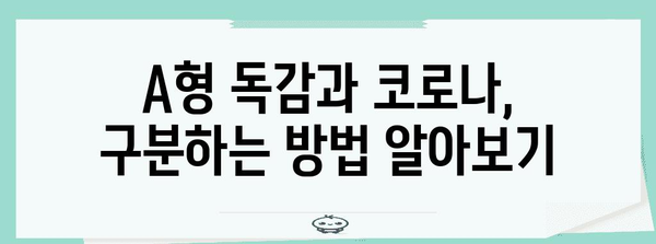 A형 독감 vs 코로나 | 증상 비교와 구분법