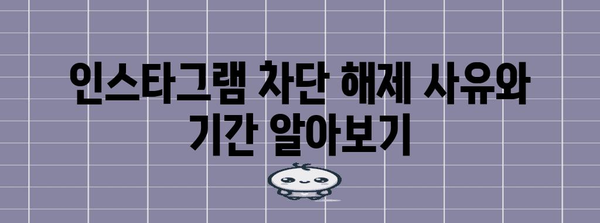 인스타그램 차단 해제하기 | 확인 방법과 복구 과정 알아보기