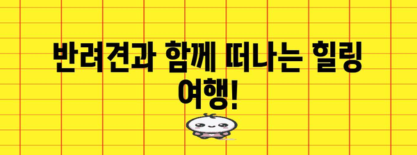 반려견과 행복한 시간! 함께 갈 수 있는 편안한 10가지 숙소