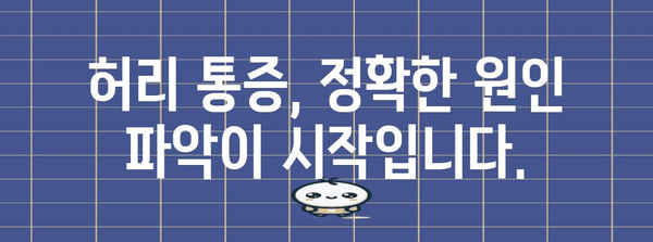 허리 통증 완화 전문가 가이드 | 맞춤형 치료와 재활