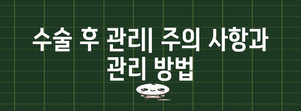 시력 교정 수술 비교 | 스마일·라섹·라식의 차이