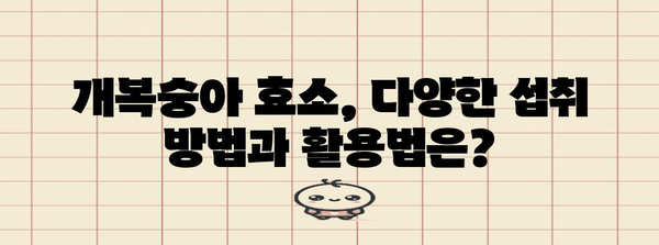 개복숭아 효소 종합 가이드 | 이점, 부작용, 칼로리