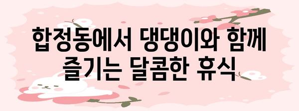 달콤한 빵과 반려견 함께! 합정동 애견 동반 가능 빵집