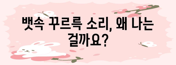 배속 꾸르륵 소리 | 원인과 해결책