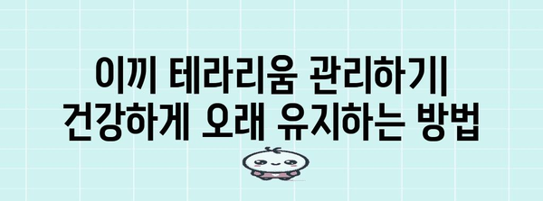 이끼 테라리움 DIY 가이드 | 초보자를 위한 완벽한 가이드