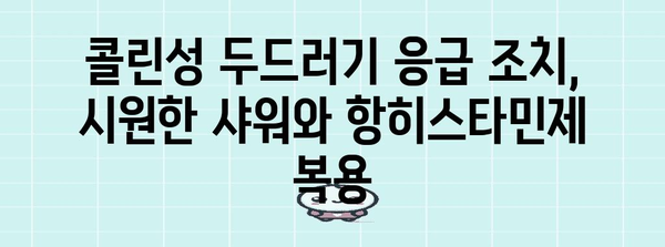 콜린성 두드러기 | 종류, 증상, 응급 조치